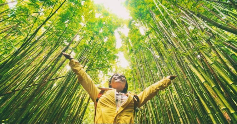 Top 18 Sustainable Traveler Tips for Responsible Tourism